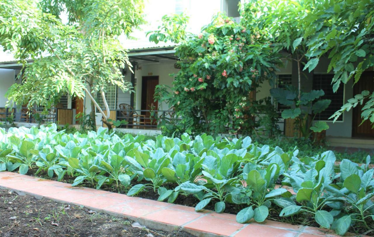 My Parents Guesthouse Kampot Exterior foto